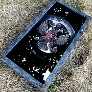 Нарды под стеклом «Держава» — необычный подарок — фотография 8